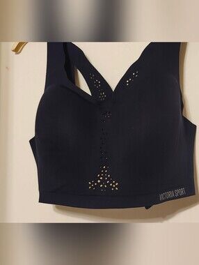 Blue Seamless Laser-Cut Vuctoria Sports Bra